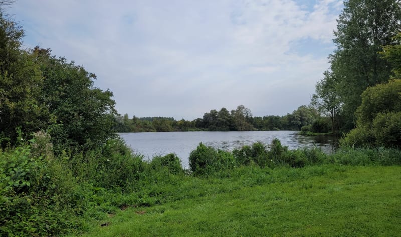 Les marais d'Ecourt St Quentin - Oisy-le-Verger