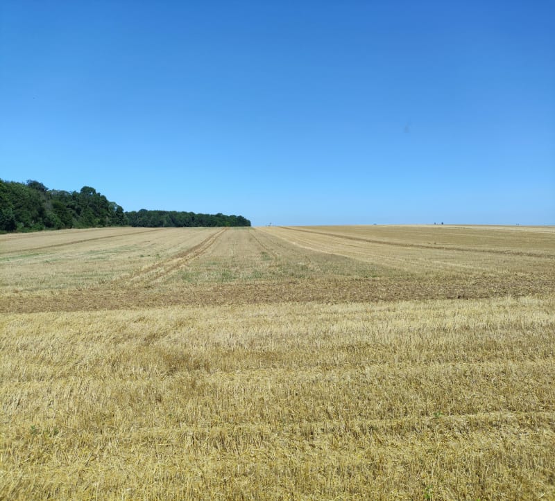 Grand tour  à Courdimanche - Cergy
