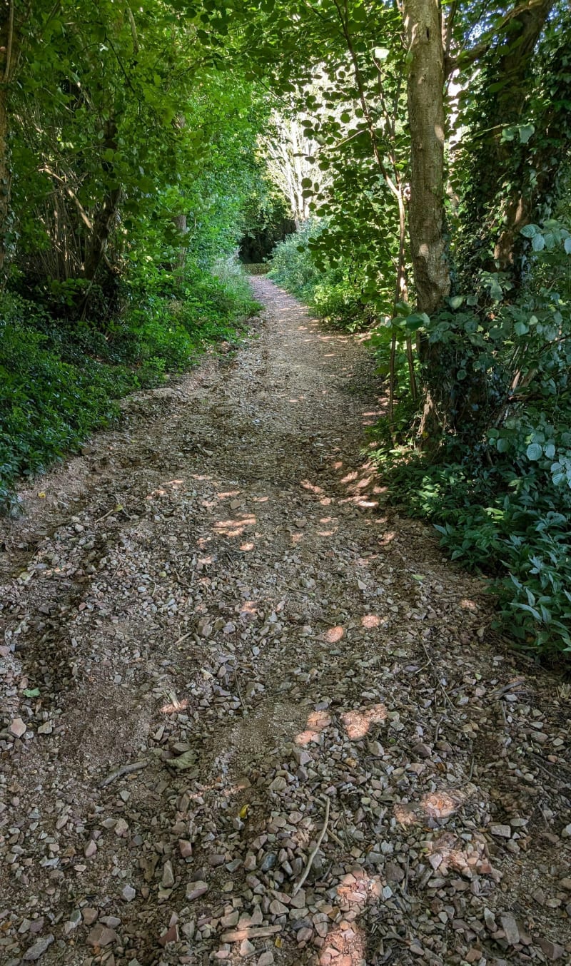 Autour de St-Martin-du-Vivier - Saint-Martin-du-Vivier