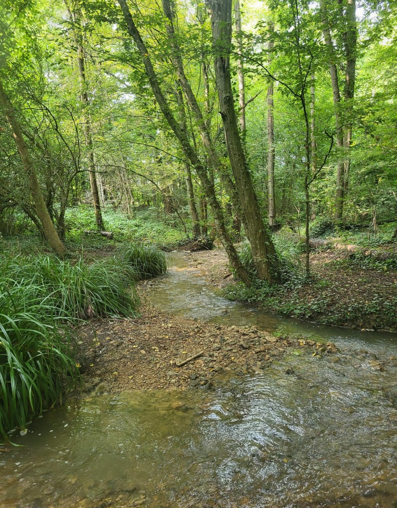 Petite balade autour de Magny - Magny-le-Hongre