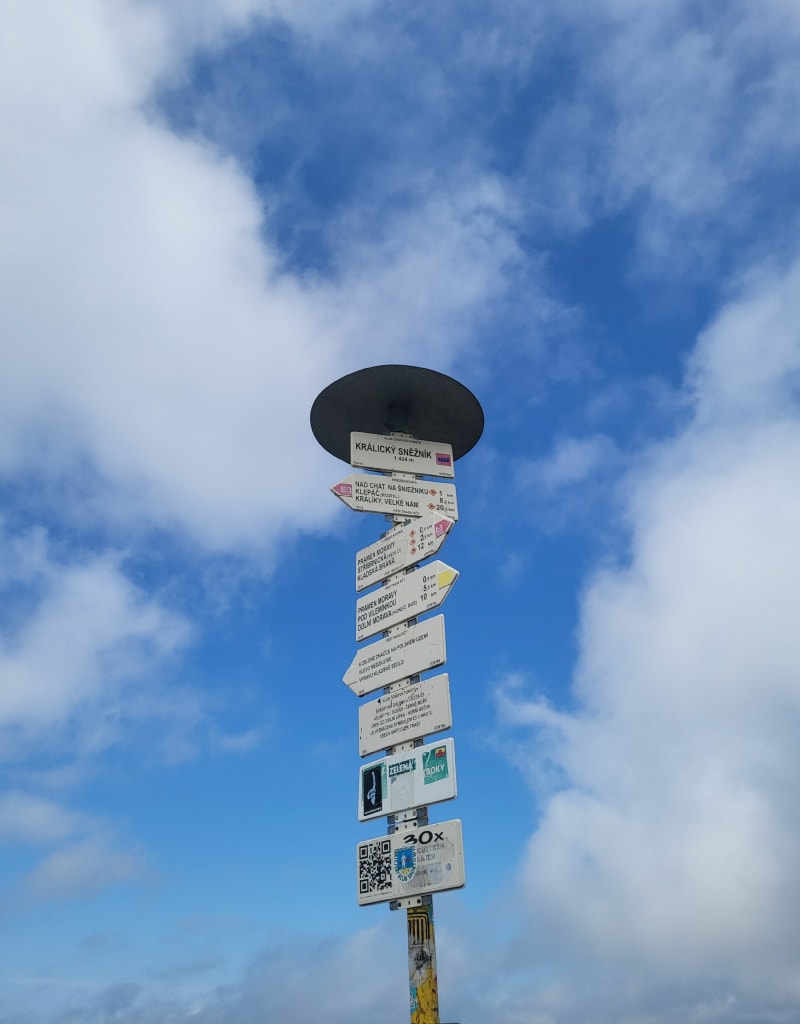 Śnieżnik 1423 m - Międzygórze