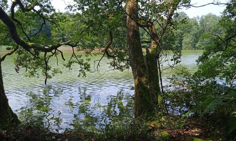 Boucle entre Foussemagne et Valdieu - Chavannes-sur-l'Étang