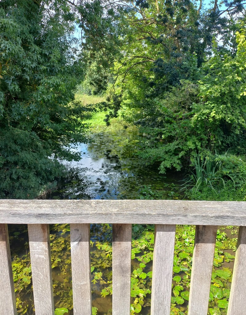 Balade entre Beaufort et Gée - Beaufort-en-Anjou