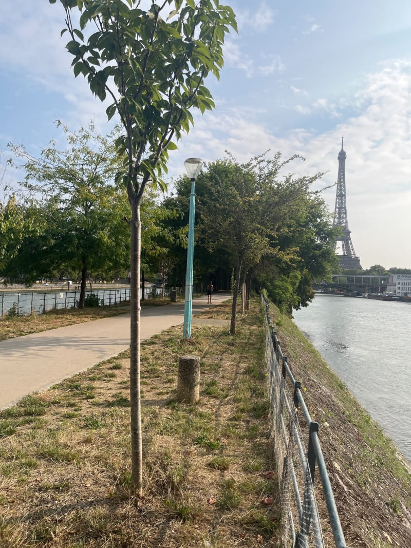 Rive Gauche-Rive Droite Passy Chaillot Breteuil - Paris