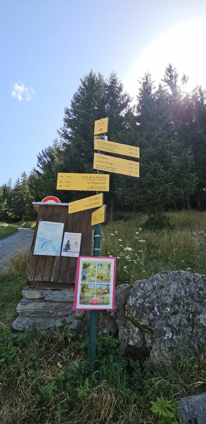 La Falconnière depuis le Châtelard - Montvalezan