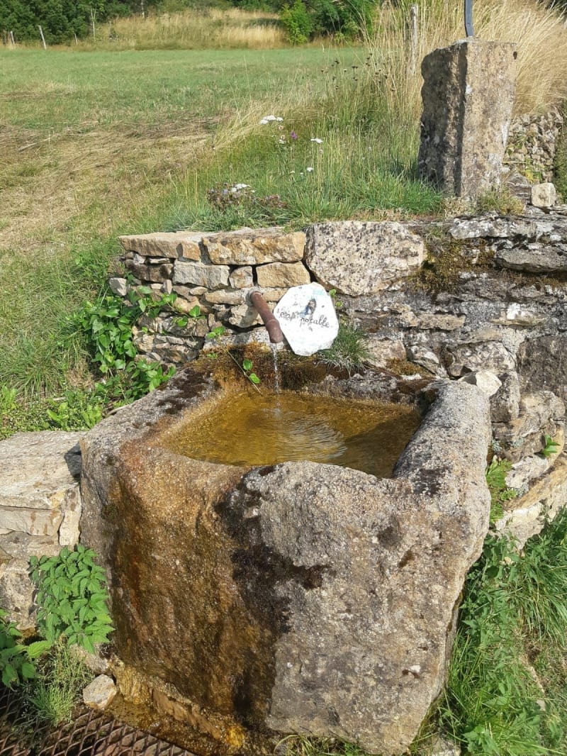 Randonnée de la Cham - Le Bleymard - Mont Lozère et Goulet