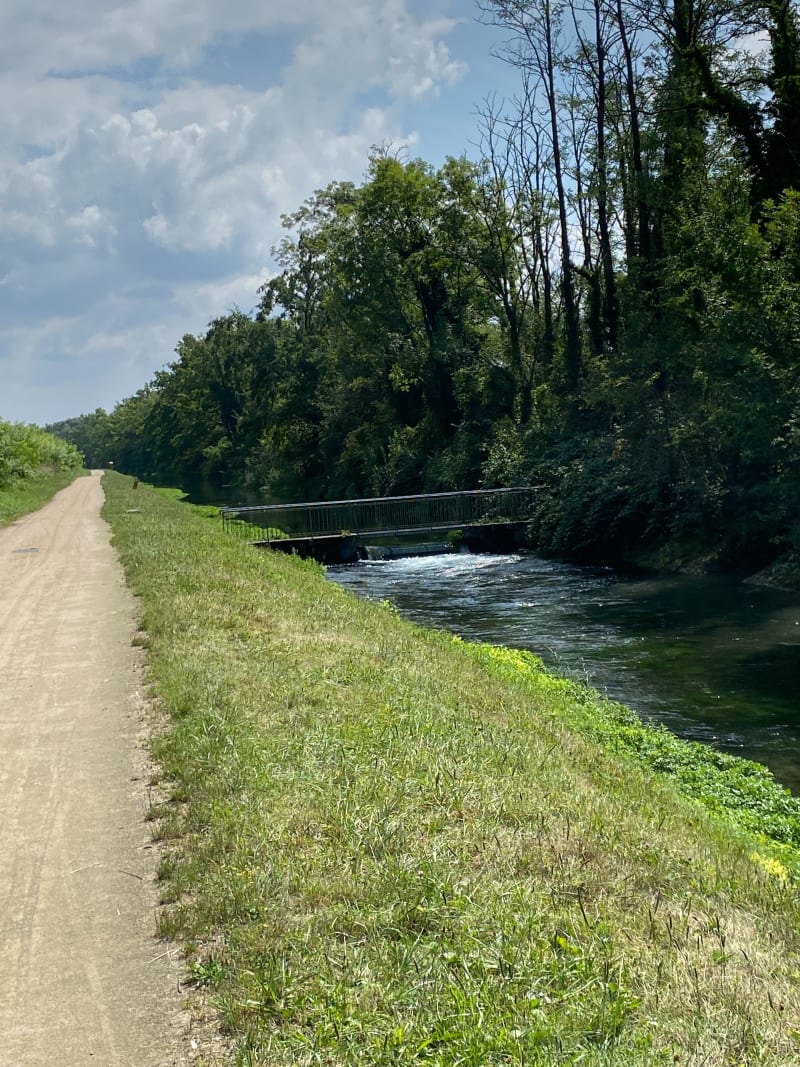 Au fil de l’eau entre Petite Carmargue et Village-Neuf - Saint-Louis