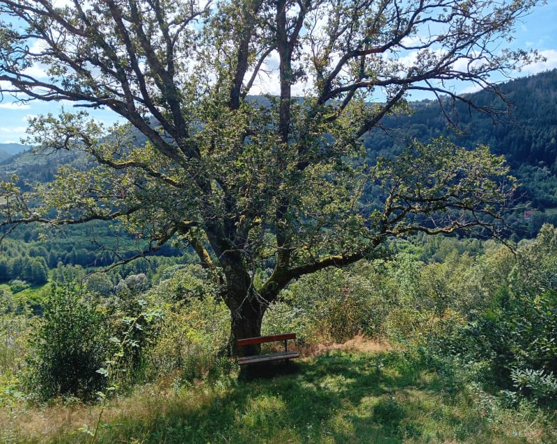 Patrimoine et Nature à Clefcy - Ban-sur-Meurthe-Clefcy