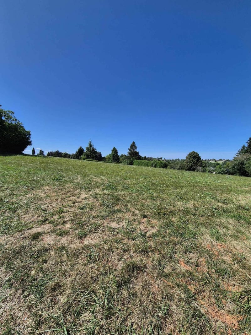 Entre le bois de Cessieu Montceau et Rochetoirin - Cessieu