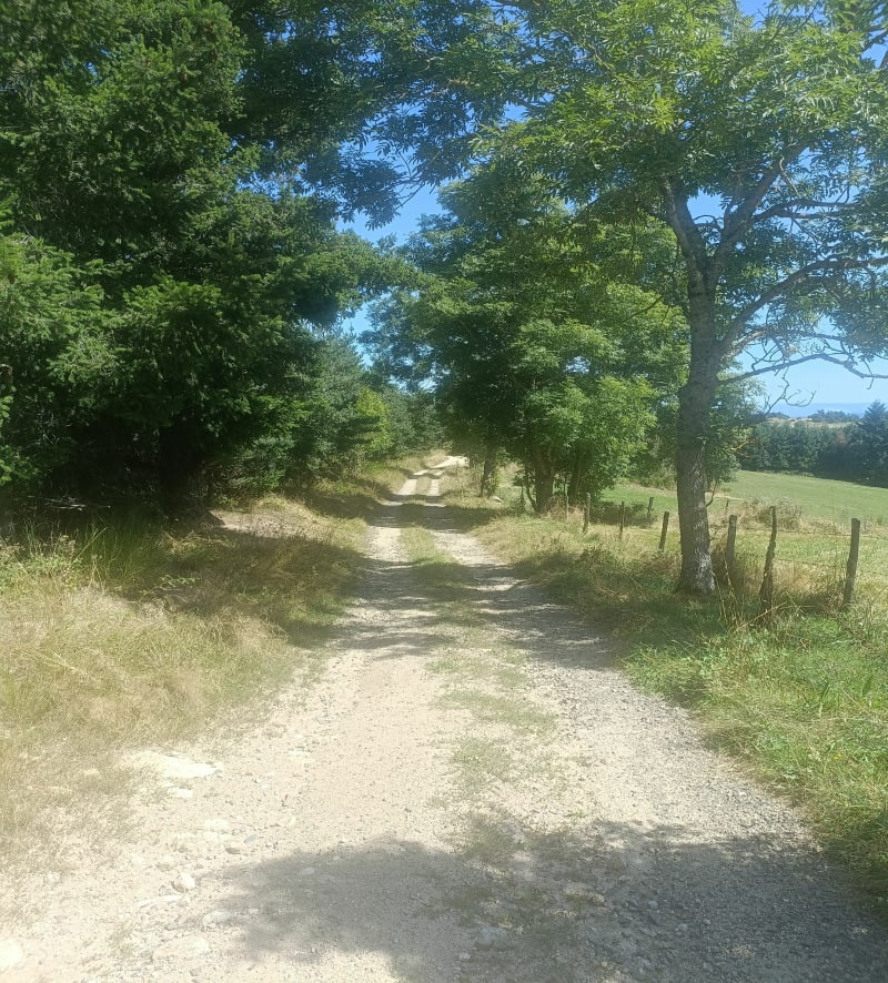 La Cruzille  via Annézieux - Saint-Jean-Soleymieux