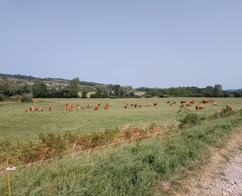 Route  Château Puivert - Nébias