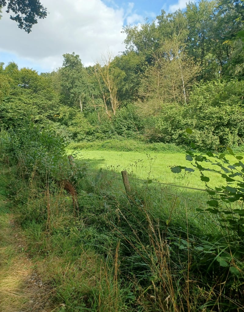 Forêt de Sacquenville - Sacquenville