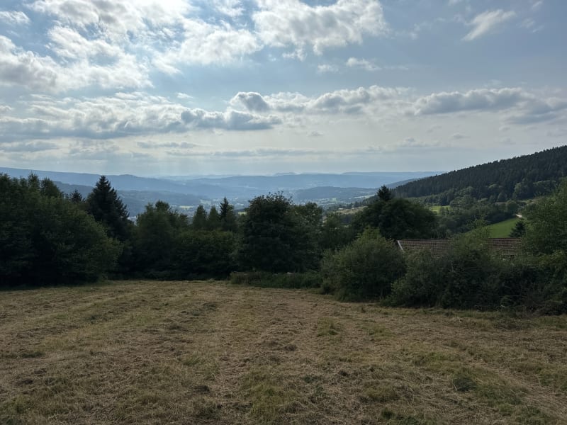 Route et paysage autour de Saint-Dié-des-Vosges - Saint-Dié-des-Vosges