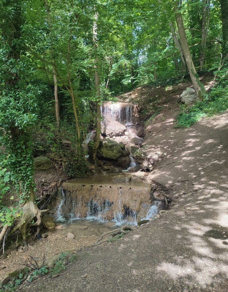 Les lacs de Lieusaint, bord de l'Yerres - Lieusaint
