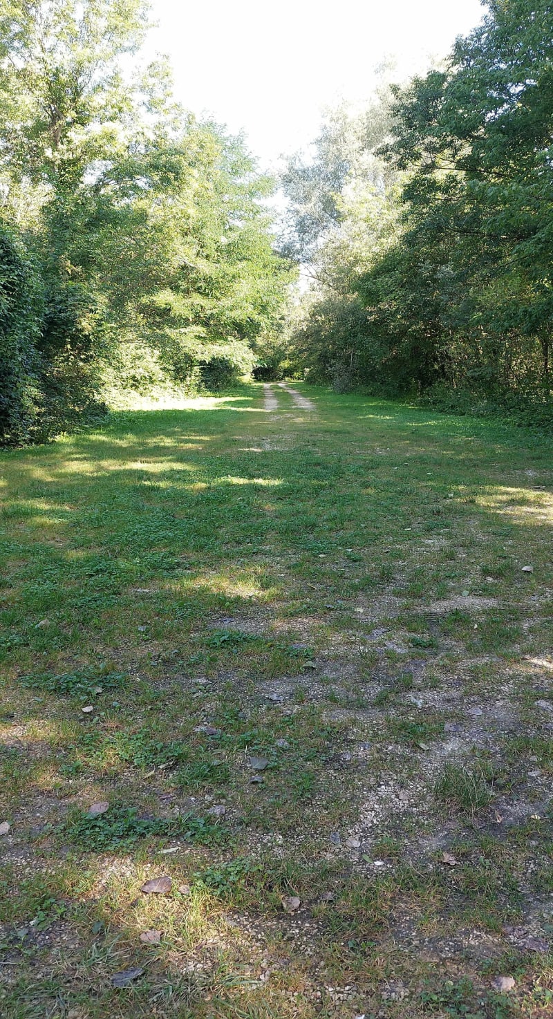 Balade le long du canal de Bray-sur-Seine à la Tombe - Balloy