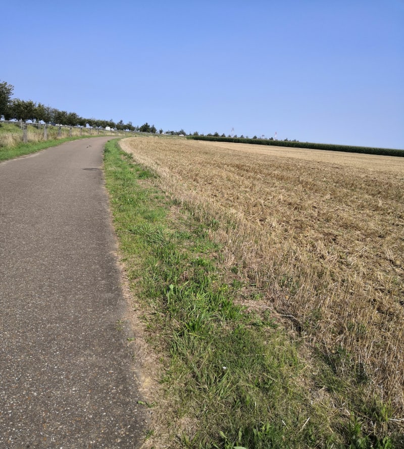 De Brétigny à la Norville à travers champs - Brétigny-sur-Orge