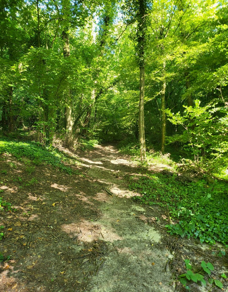 Haut de St Erme et Montaigu - Saint-Erme-Outre-et-Ramecourt