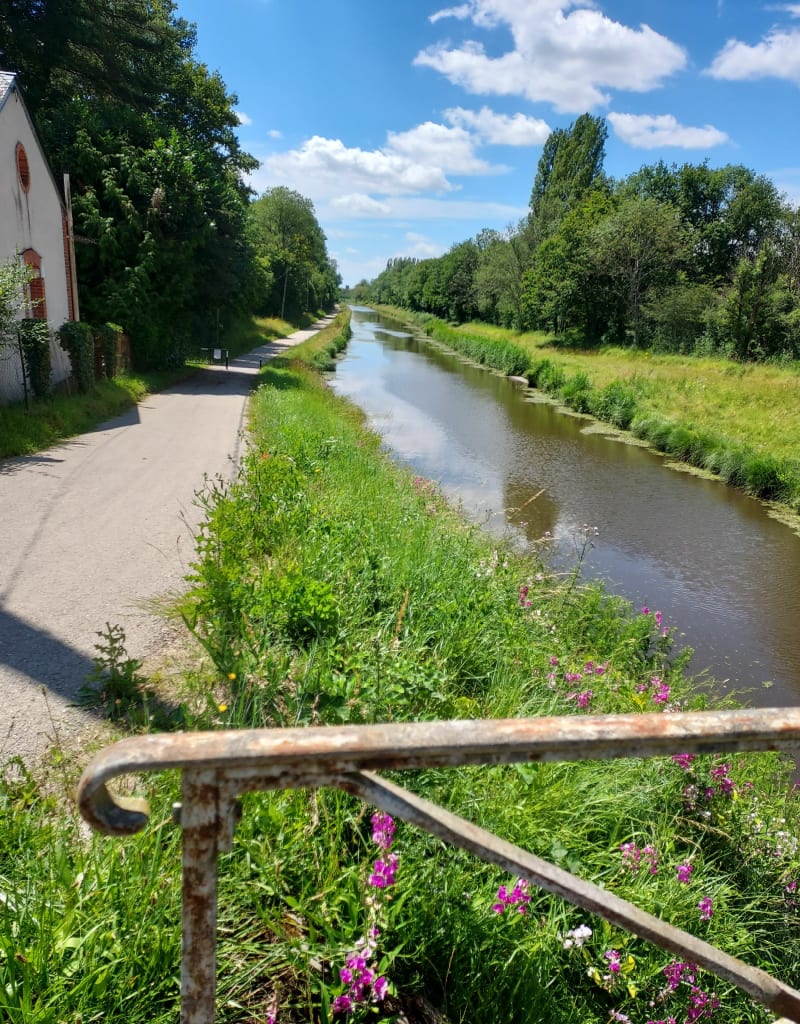 Balade entre Loire et canal d'Orléans - Chécy