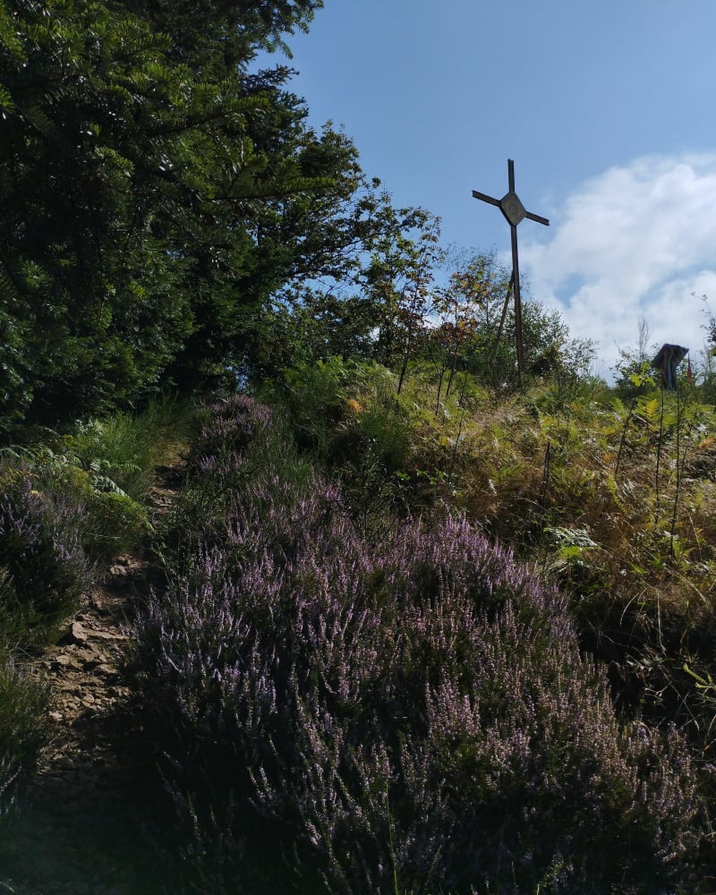 La Planche 7090 - Plancher-les-Mines