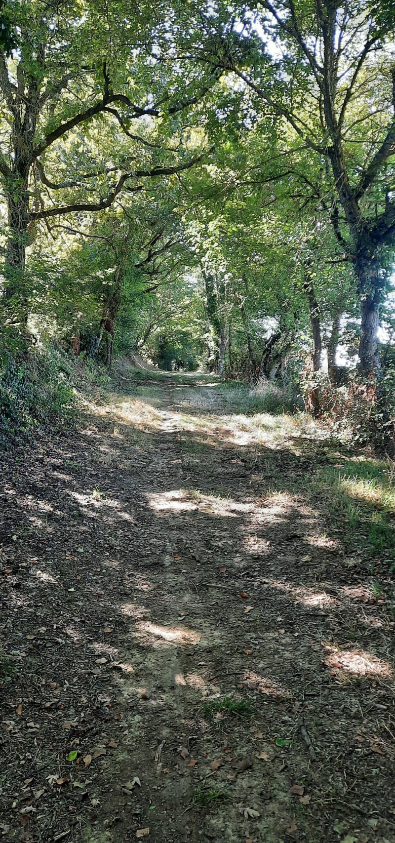 Autour de Giscaro - Giscaro