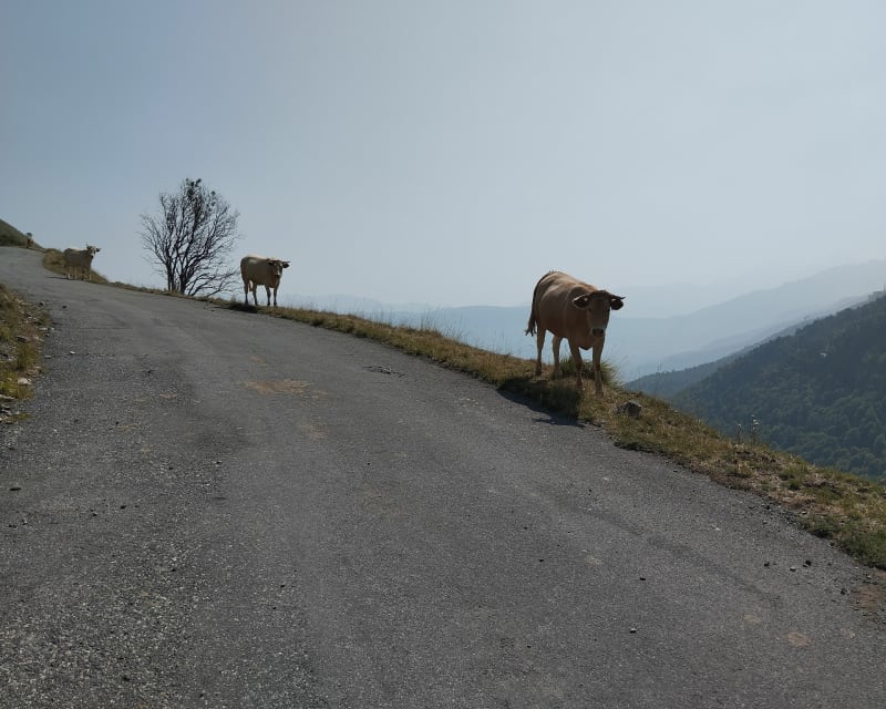 Col de Portet par route et descente par les pistes - Saint-Lary-Soulan