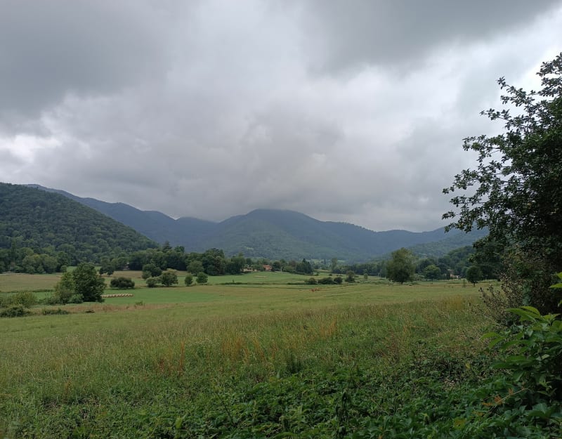 Randonnée en campagne et en forêt à Sauveterre de Comminges - Sauveterre-de-Comminges