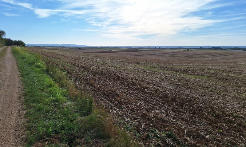 Boucle entre Belleneuve et Magny-Saint-Médard - Belleneuve