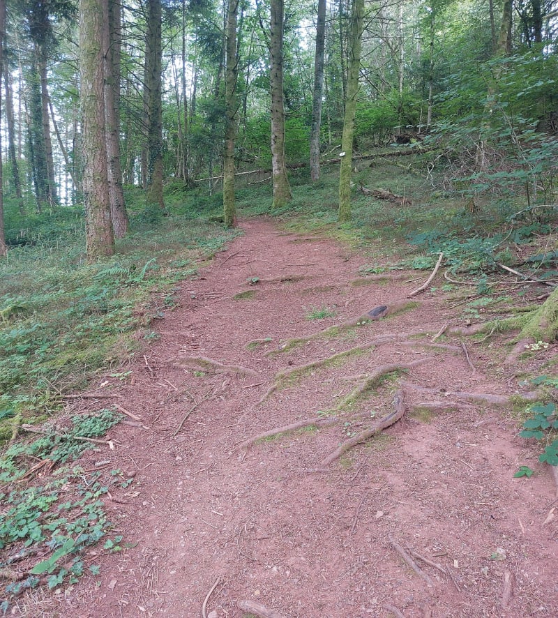 Petite balade autour de la Pierre de Laître - Taintrux