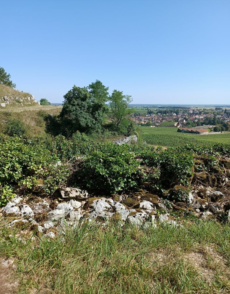 Boucle familiale jusqu'au parcours de santé de Nuits-Saint-Georges - Nuits-Saint-Georges