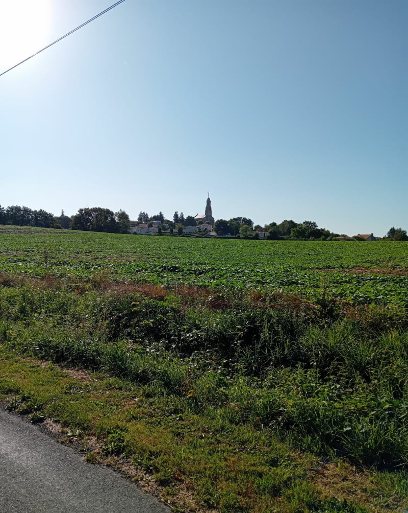 Balade du bourg à la Traversière - Sèvremont