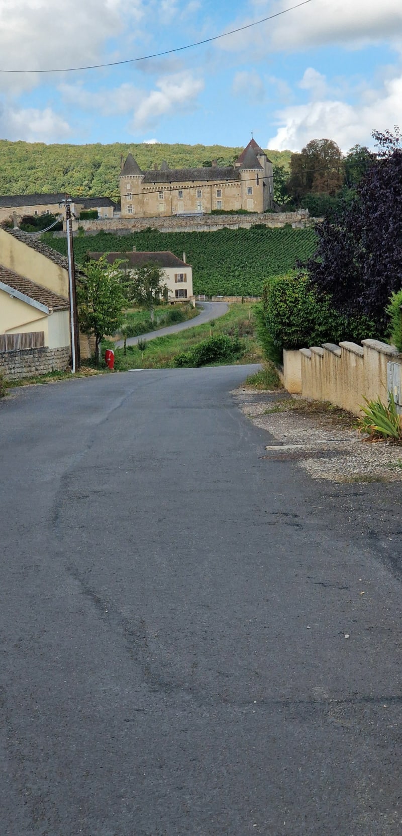 Balade à vélo via Fontaines et Rully - Chagny