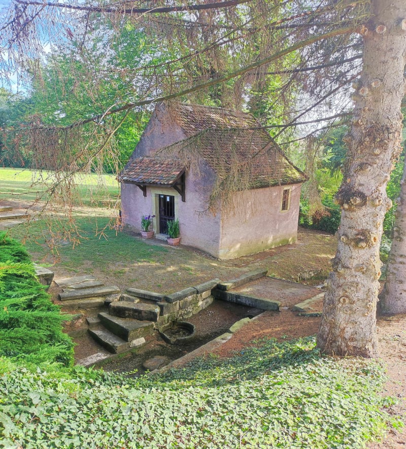 Les alentours de Steinbrunn le Bas - Steinbrunn-le-Bas