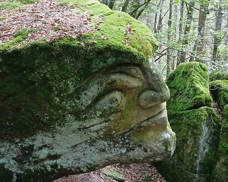 Le Koney au départ de Bains les Bains - La Vôge-les-Bains
