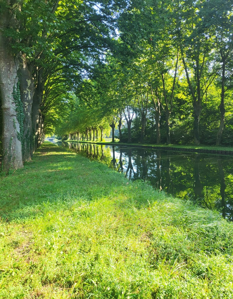 Piste cyclable de Plobsheim - Plobsheim