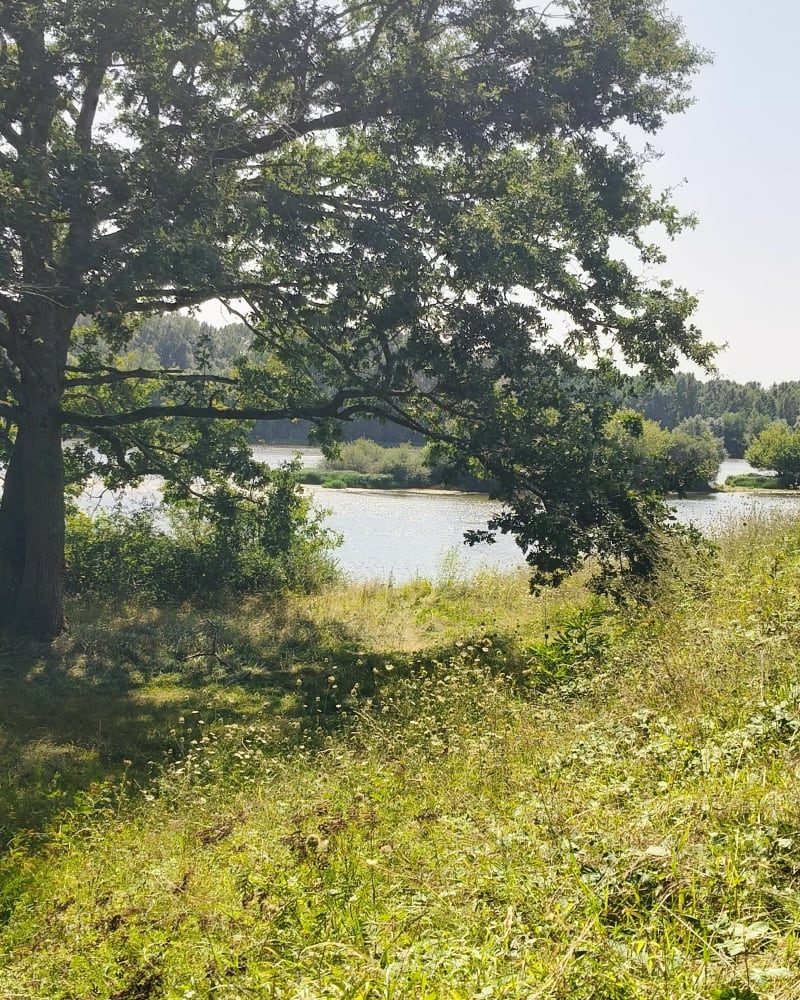 Balade autour de Châteauneuf-sur-Loire - Châteauneuf-sur-Loire