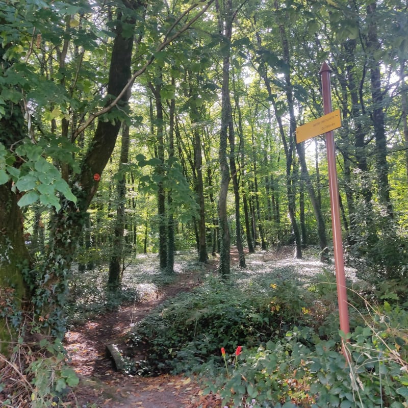 Sentier découverte du Gesvres à la Chapelle-sur-Erdre - La Chapelle-sur-Erdre