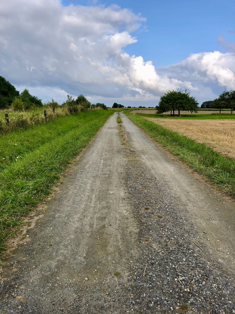Du Vivier au Mont-Dol par la campagne - Le Vivier-sur-Mer