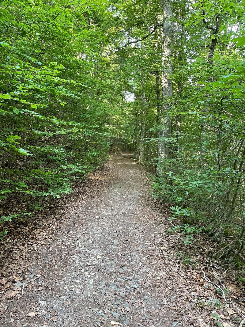 Balade en forêt de l’Ayré depuis Barèges - Barèges