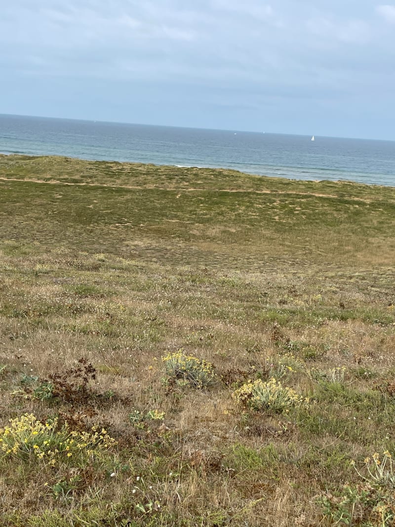 Balade  forestière et plage à Olonne - Les Sables-d'Olonne