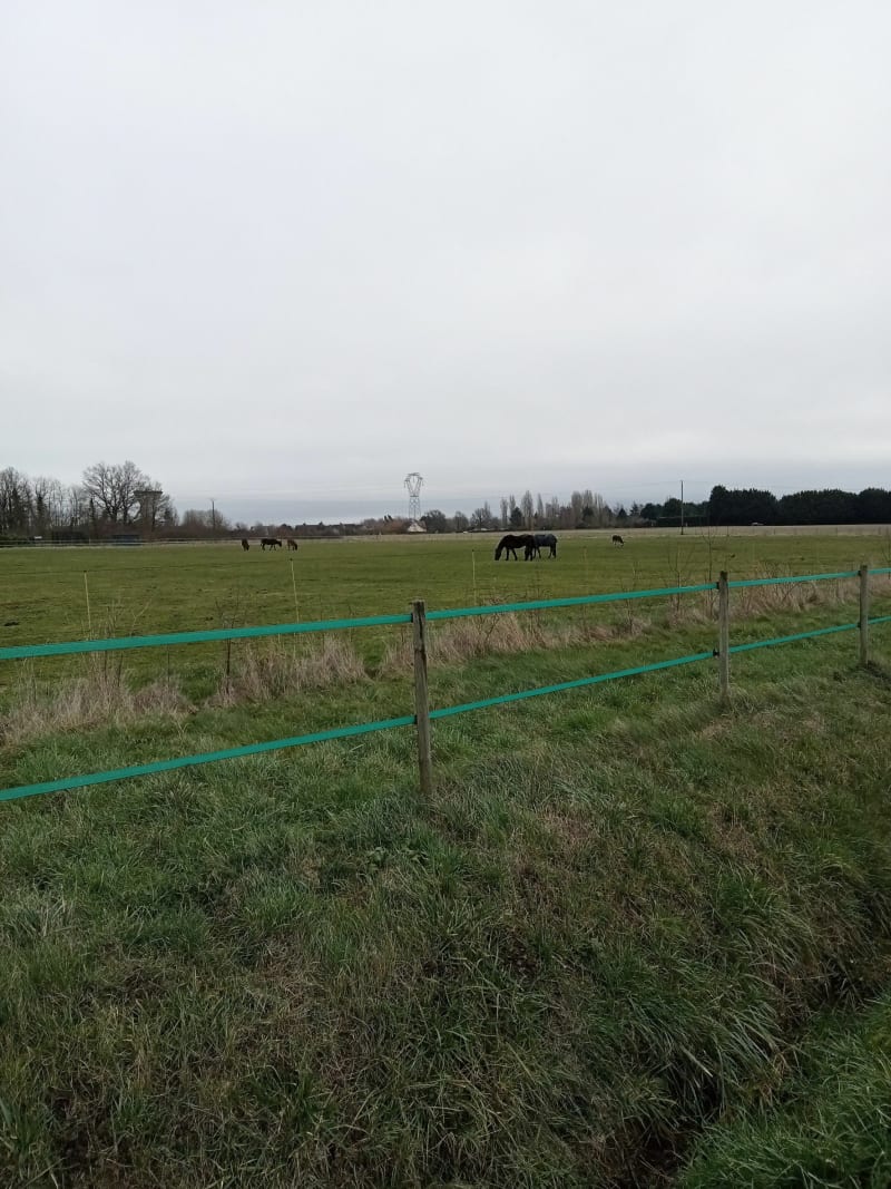 Boucle de Montlouis-sur-Loire, par Plantes de Rillé - Montlouis-sur-Loire