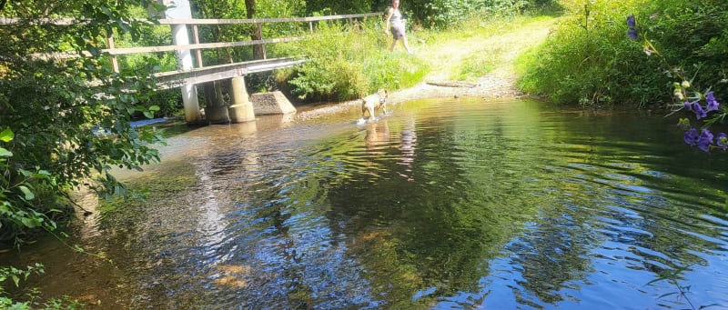 Petit chemin de Beaucquencé - La Ferté-en-Ouche