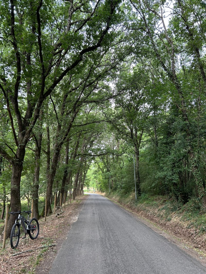 Sortie VTT du matin, depuis Grisolles - Grisolles