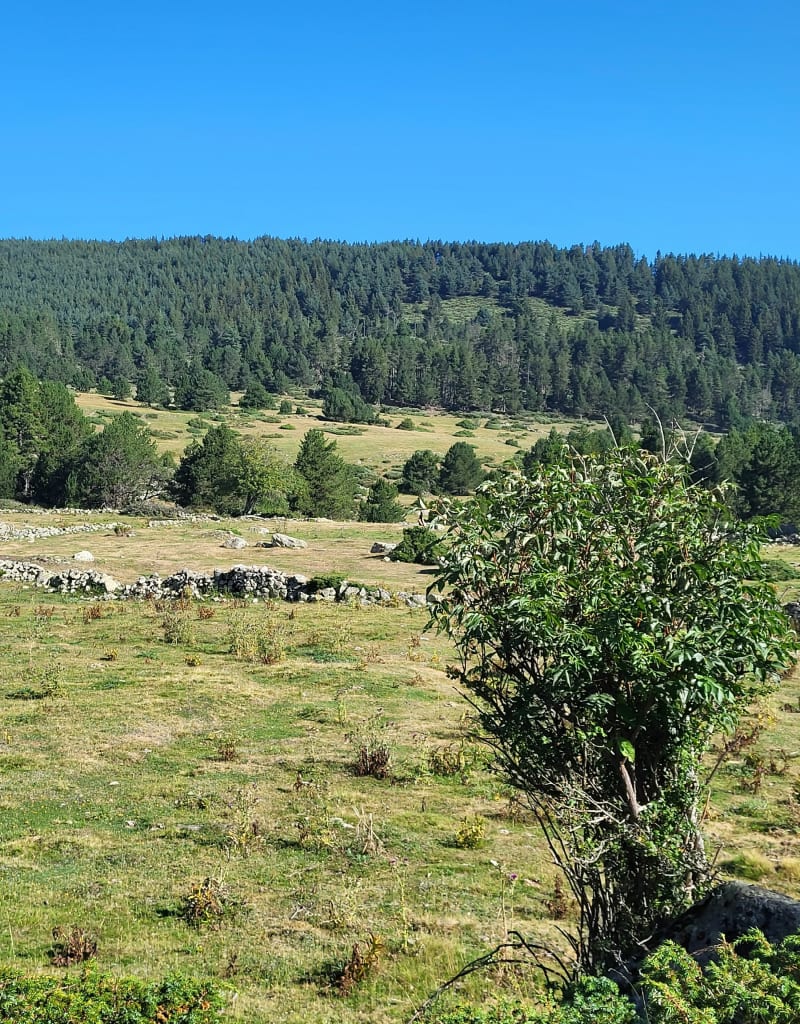 Autour du lac de Balcère - Les Angles