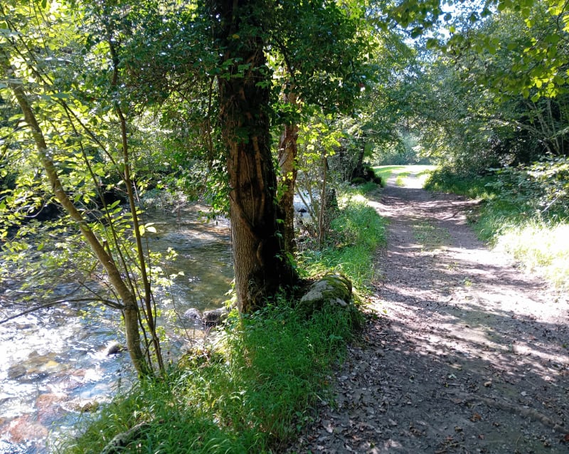 Ustou - rives de l'Alet - Ustou