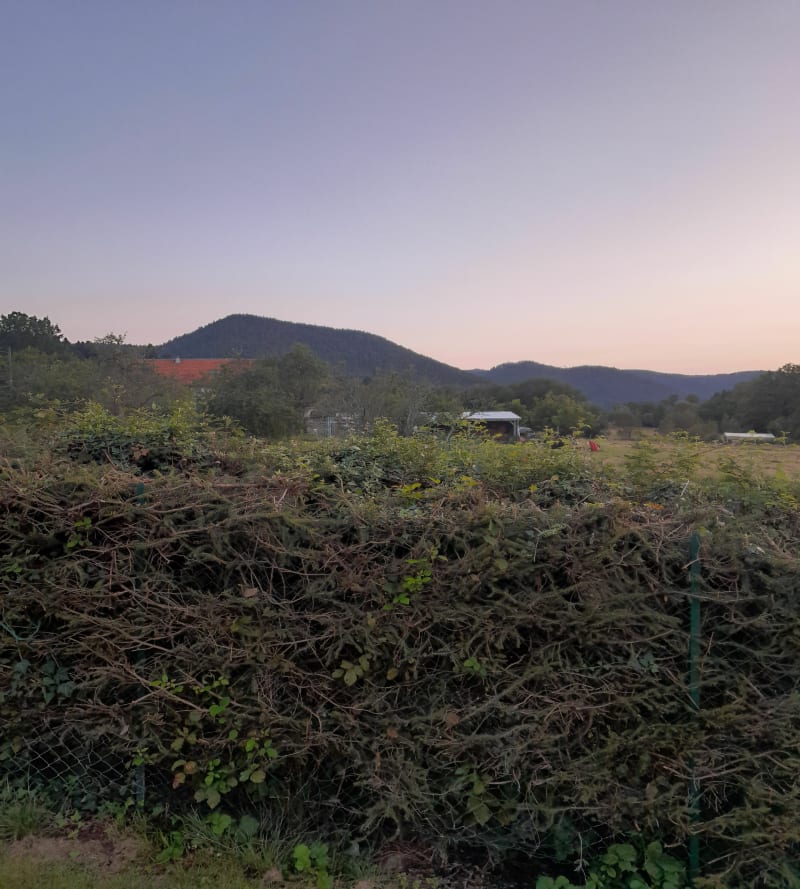 Massif du Kemberg - Saint-Dié-des-Vosges
