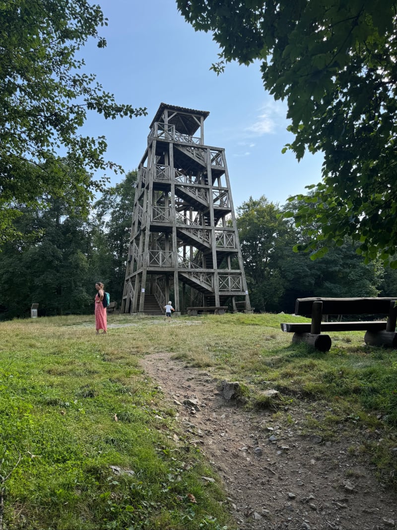 Le parcours pédagogique du Mont Saint-Rigaud - Propières