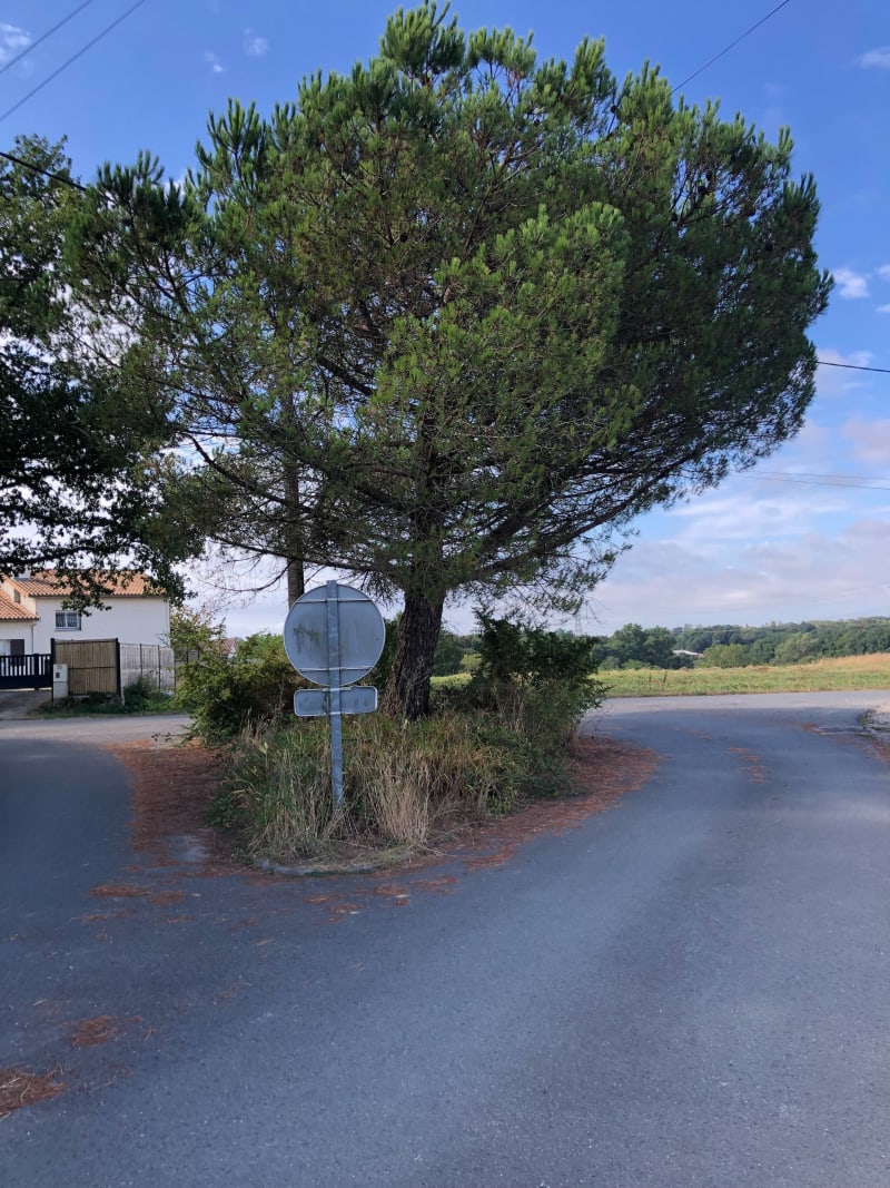 Boucle active autour de Salleboeuf - Sallebœuf