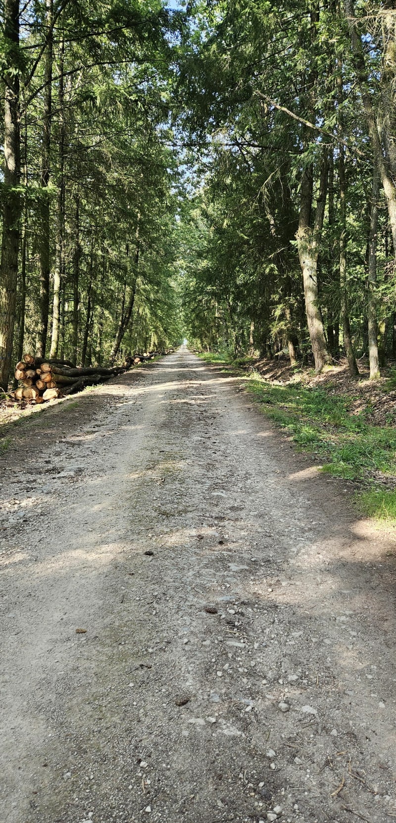 Forêt de Goviller, par Rond St-Ouen - Goviller