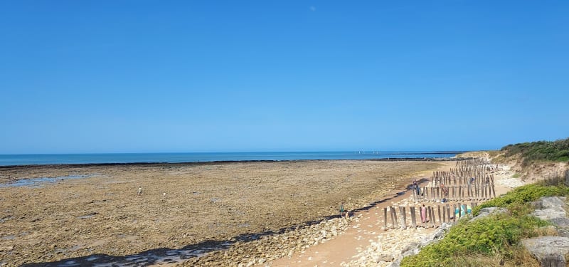 Balade jusqu'à la plage de l'Ecuillière - Le Château-d'Oléron