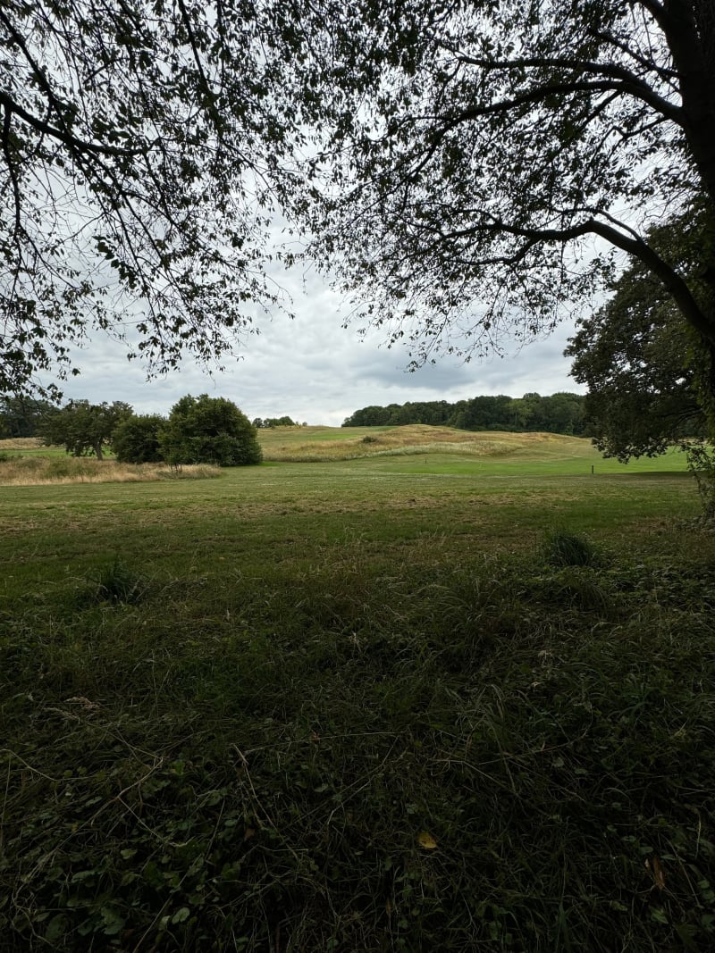 Balade autour du Bois du Tremblay à Luzarches - Luzarches
